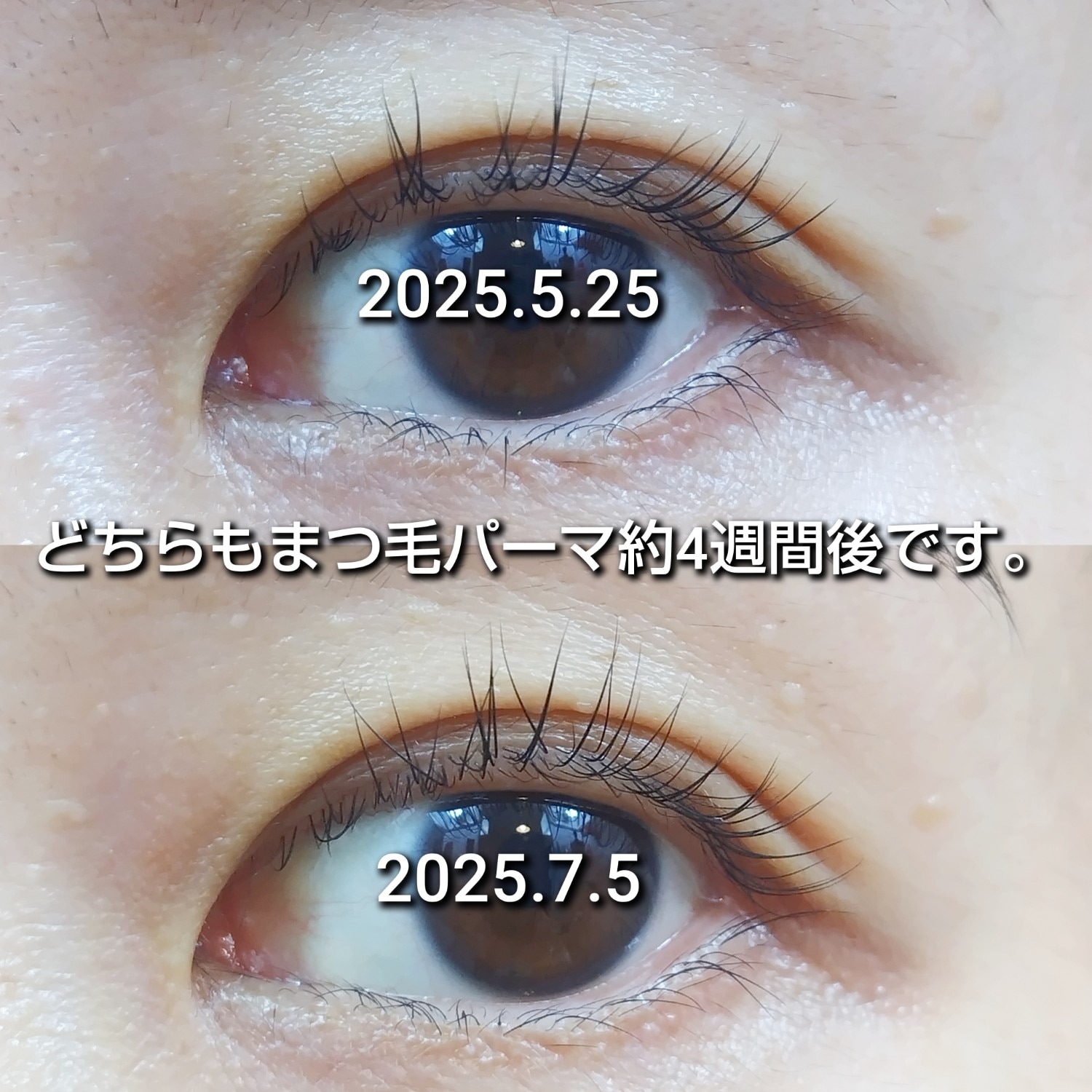 楽天市場】ラッシュリッチアイラッシュセラムEX 2.5mL ロート製薬 公式