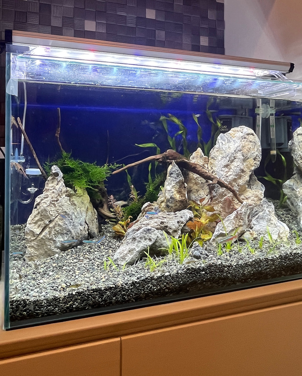 60x30x36cm水槽レイアウト流木 水槽 - 魚用品/水草