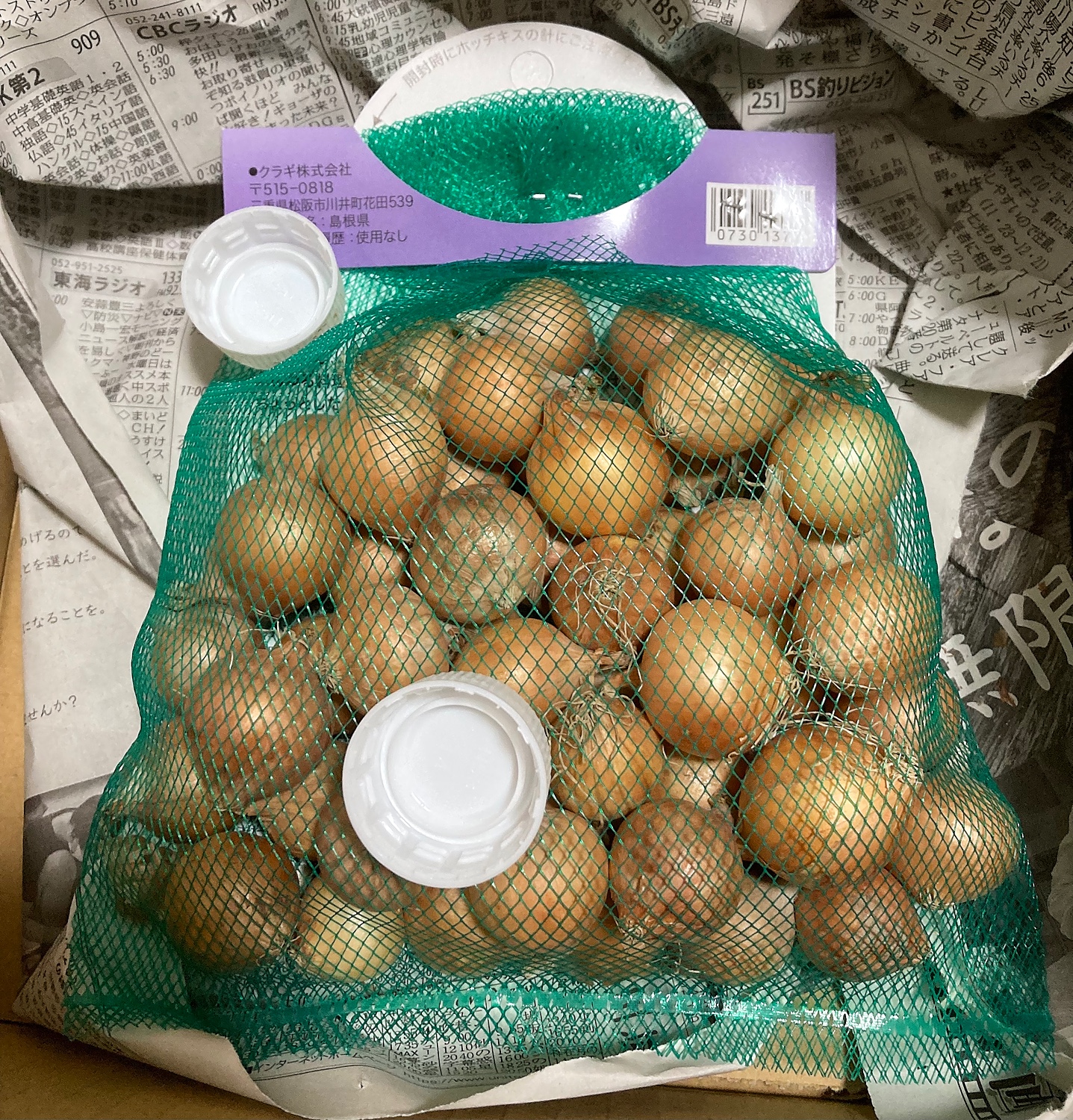 即日発送 ホーム 玉ねぎ 種球 50球 タマネギ 玉葱 球根 種