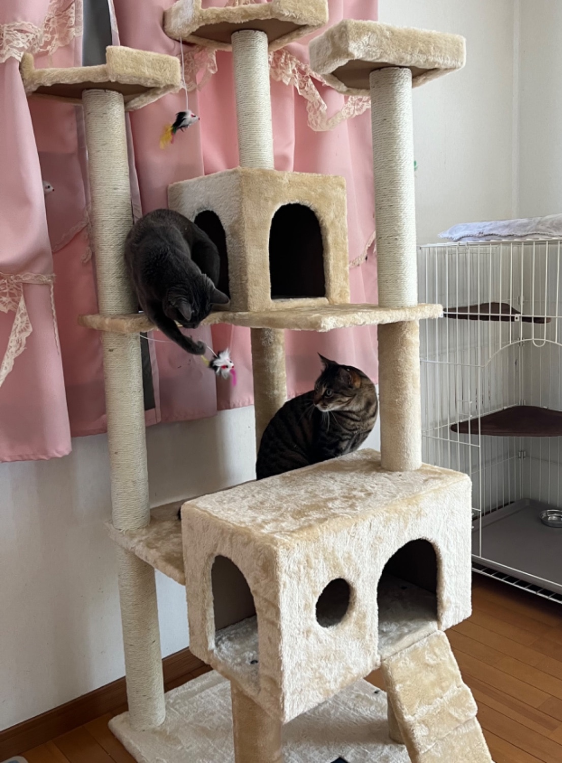 キャットタワー キャットツリー 猫タワー レビュー画像7