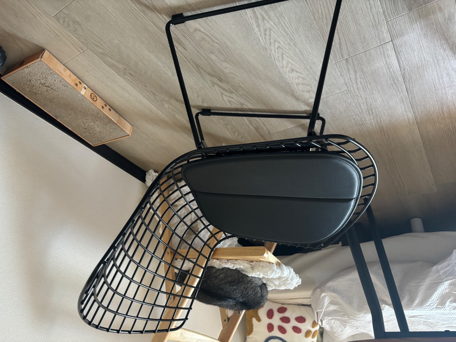 楽天市場】ワイヤー チェア Wire Chair ハリー ベルトイア リ