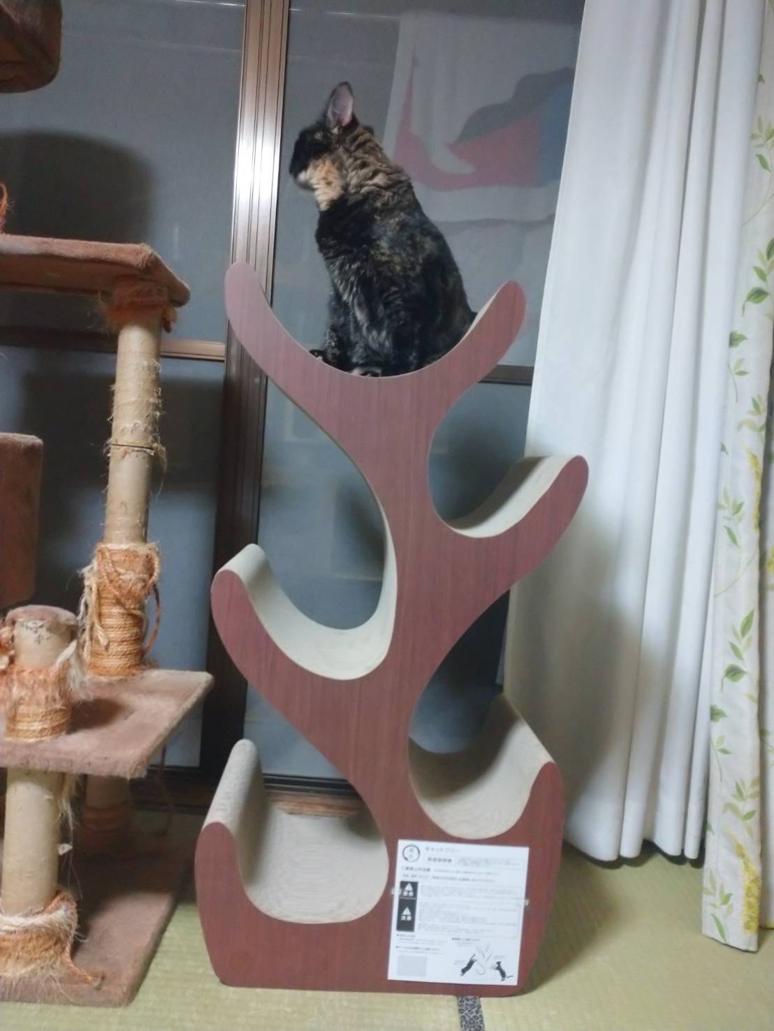 【新品】猫壱キャットツリー 楽天市場】猫壱公式限定 キャットツリー レギュラー キャット