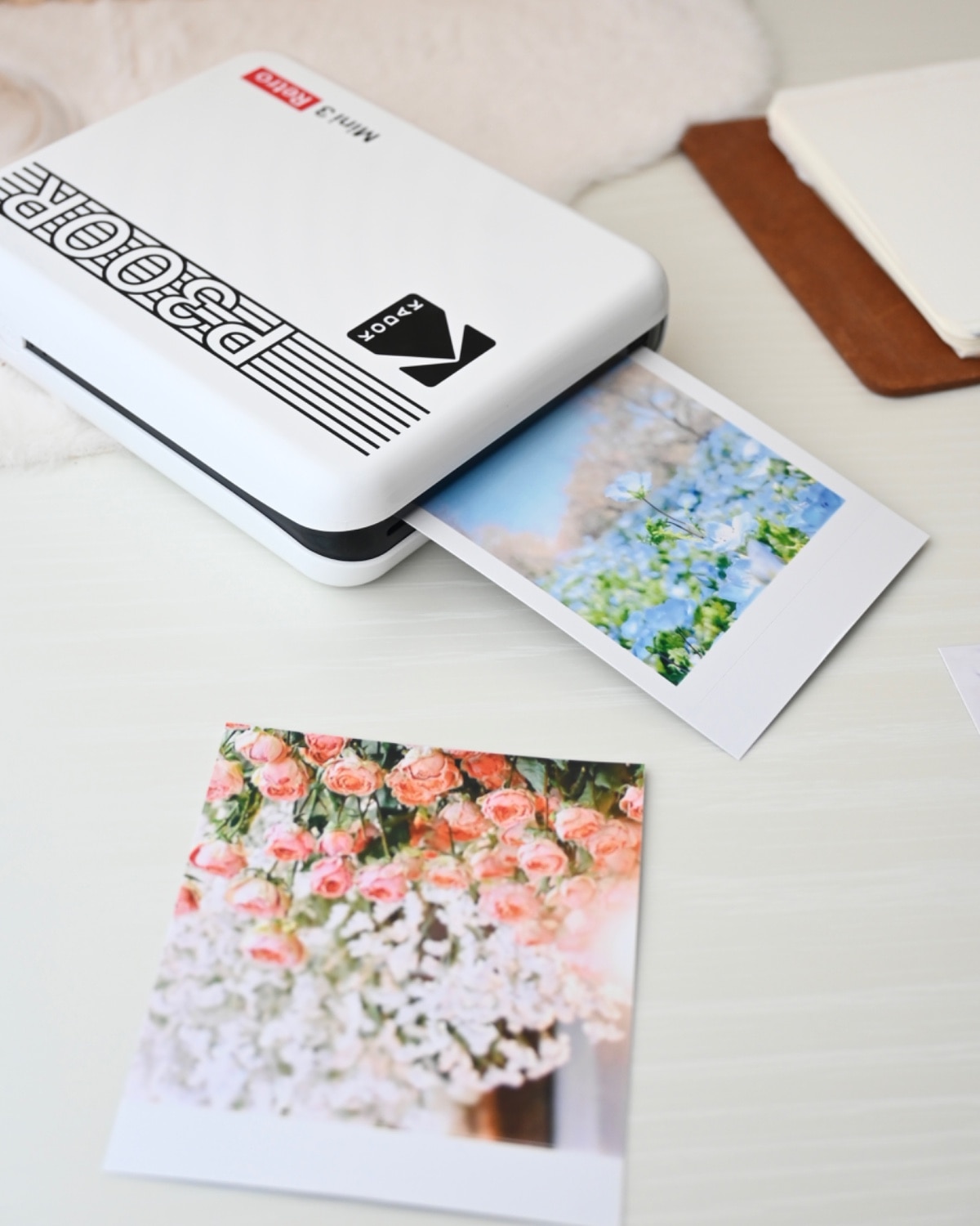 楽天市場】【文化祭シーズン15％OFF＋スーパーDEALポイント