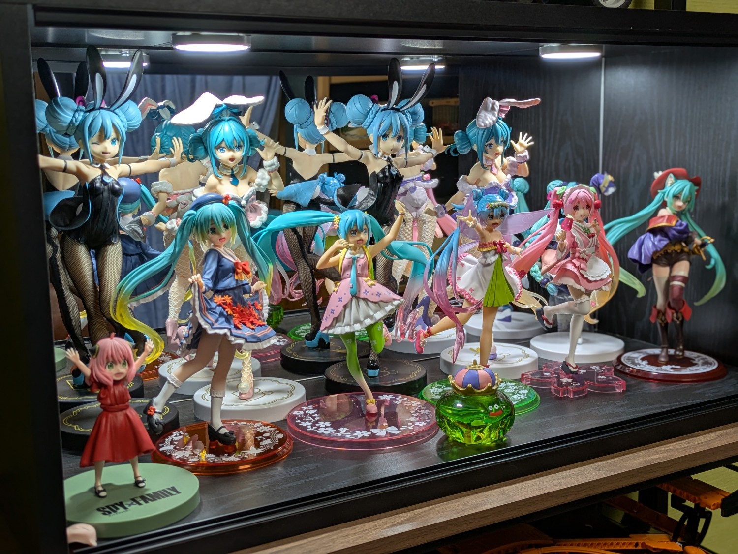 楽天市場】LED付き コレクションケース キューブボックスα 改
