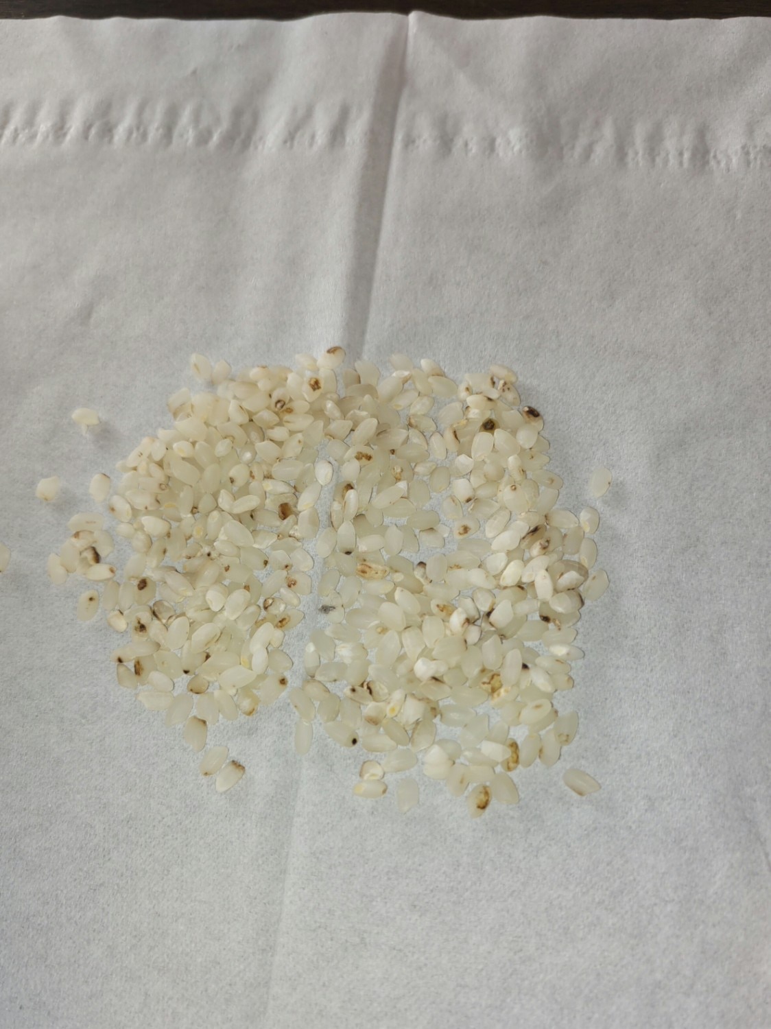 ミルキークイーン 長野県産 令和7年産 米 無洗米 5kg 10kg 20kg 30kg お米 精米 白米 ブランド米  ミルキークイーン 長野県産米 無洗米 レビュー画像3