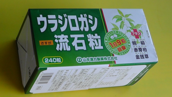 楽天市場】ウラジロガシ 流石粒（さすが粒） 240粒【山本漢方】 うらじろがし【P25Jan15】(やまちゃんショップ) | みんなのレビュー・口コミ