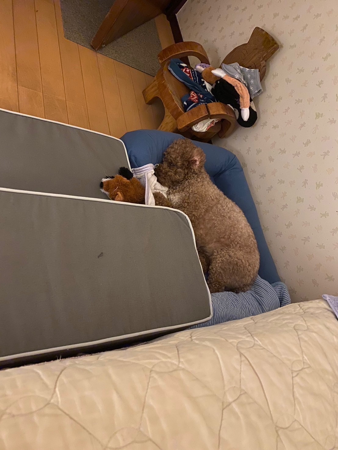 ドッグステップ 犬用ステップ ペットステップ レビュー画像11