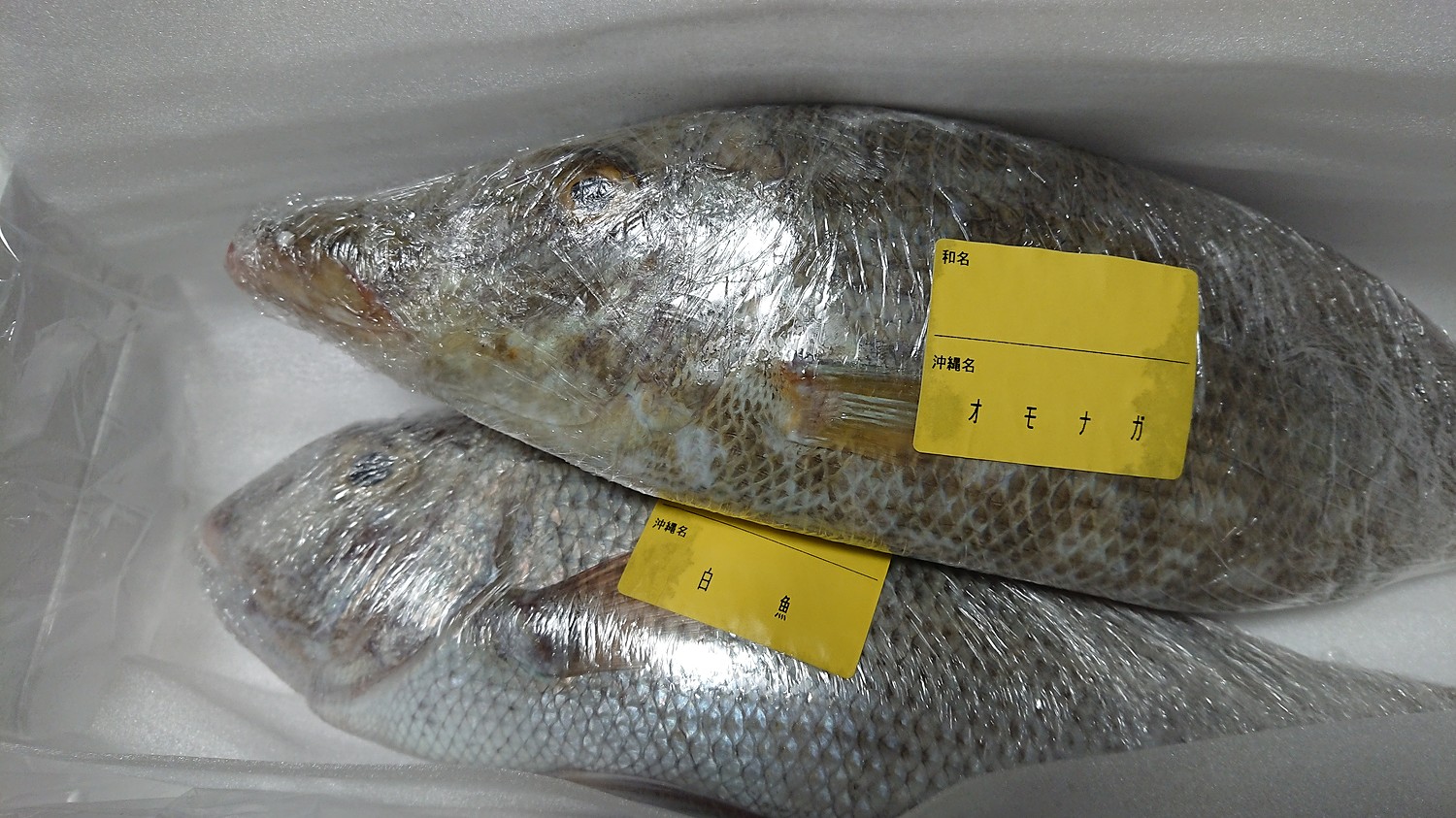 楽天市場 送料無料 おまかせ沖縄鮮魚セット2kg 2 3種類 沖縄海鮮問屋 みんなのレビュー 口コミ