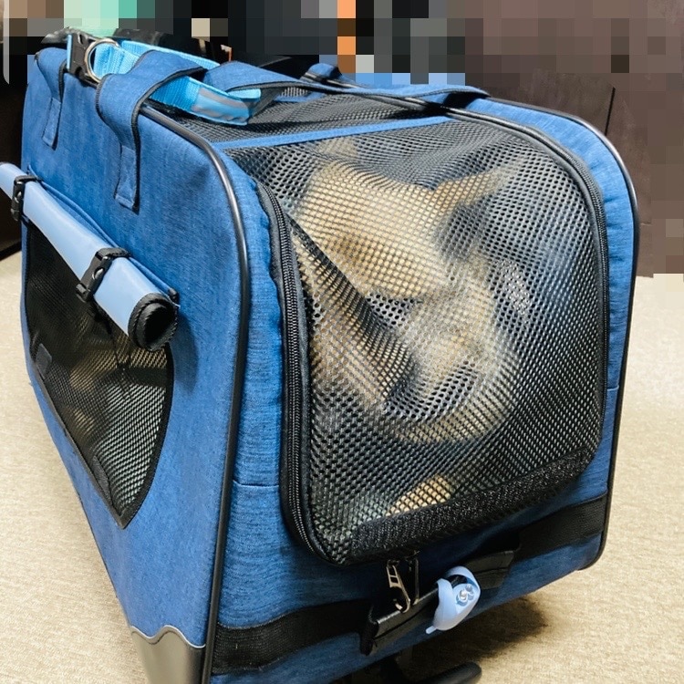ペットキャリー SunRuck サンルック レビュー画像2