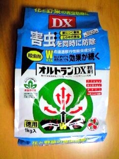 楽天市場 住友化学園芸 オルトランdx粒剤1kg袋 便利なチャック付 ガーデニングどっとコム 3ページ目 みんなのレビュー 口コミ