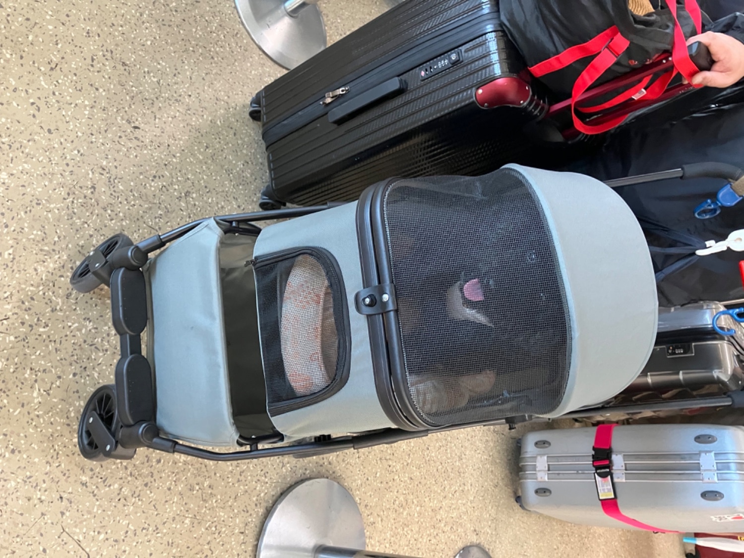 ペットカート 犬 カート 分離式 多頭 小型犬 中型犬 猫 折りたたみ 自立 軽量 4輪 コンパクト ペットバギー 飛び ペットカート ペットカート口コミ 分離式ペットカート レビュー画像13