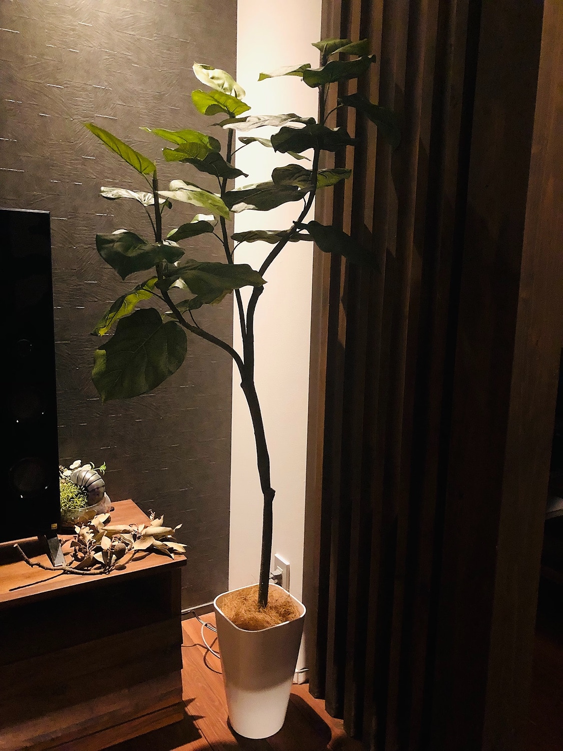 楽天市場 フェイクグリーン 人工 造花 光触媒 観葉 植物 樹 木 室内 大型 150 160cm 鉢 木 おしゃれ 造花 リアル フィカス ウンベラータ 3枝 インテリア 人気 空気清浄 人工 玄関 リビング オフィス 部屋 爽やか 緑 シンプル 初心者 抗菌