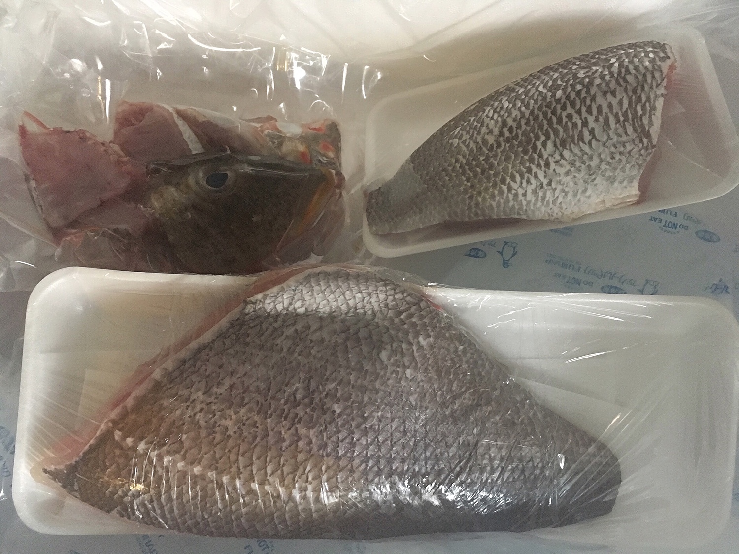 楽天市場 送料無料 おまかせ沖縄鮮魚セット2kg 2 3種類 沖縄海鮮問屋 みんなのレビュー 口コミ