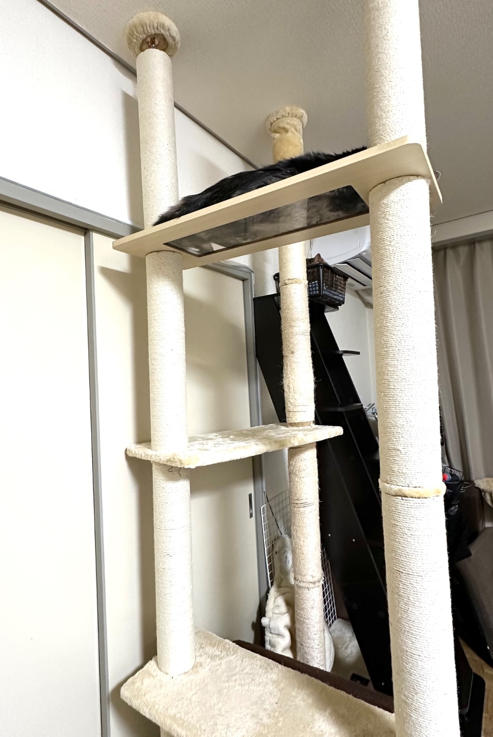 キャットツリー 猫タワー 突っ張りキャットタワー レビュー画像2