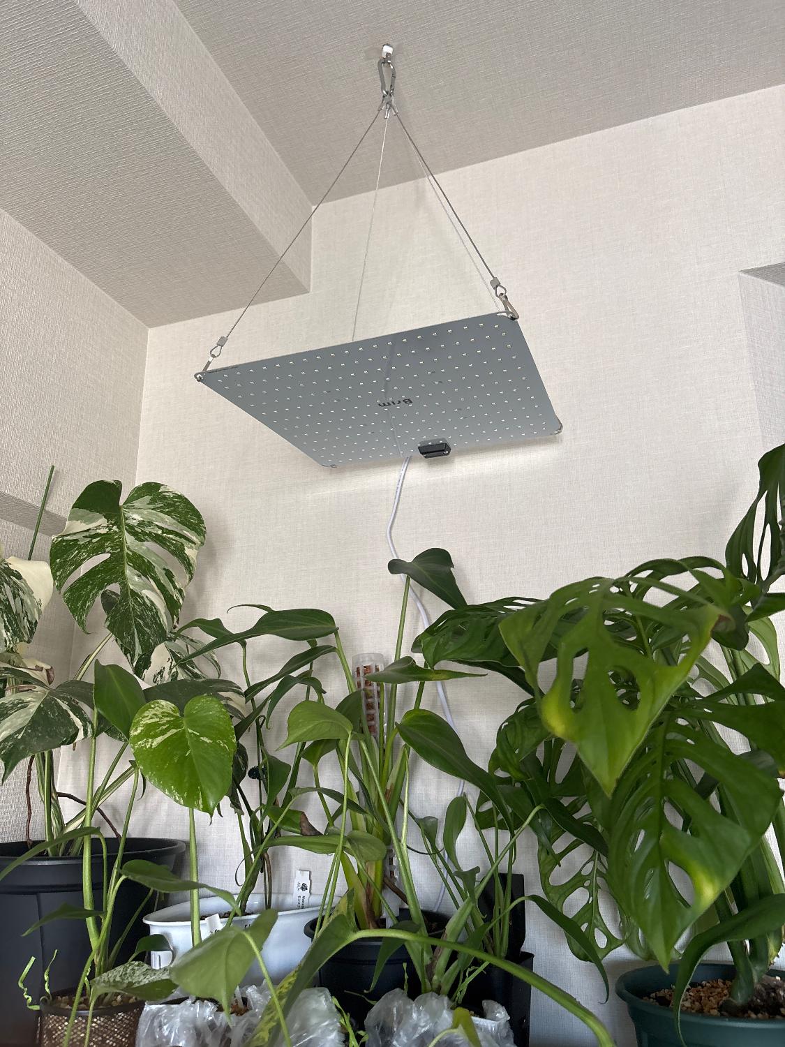 楽天市場】BRIM(ブリム) 公式 植物育成ライト PANEL A LED パネル