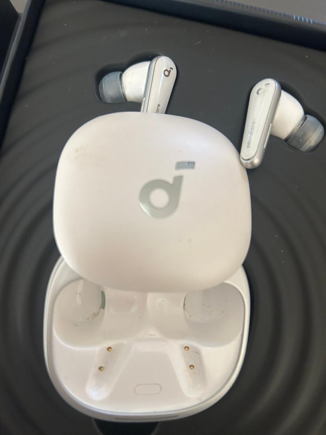 購入者レビュー写真