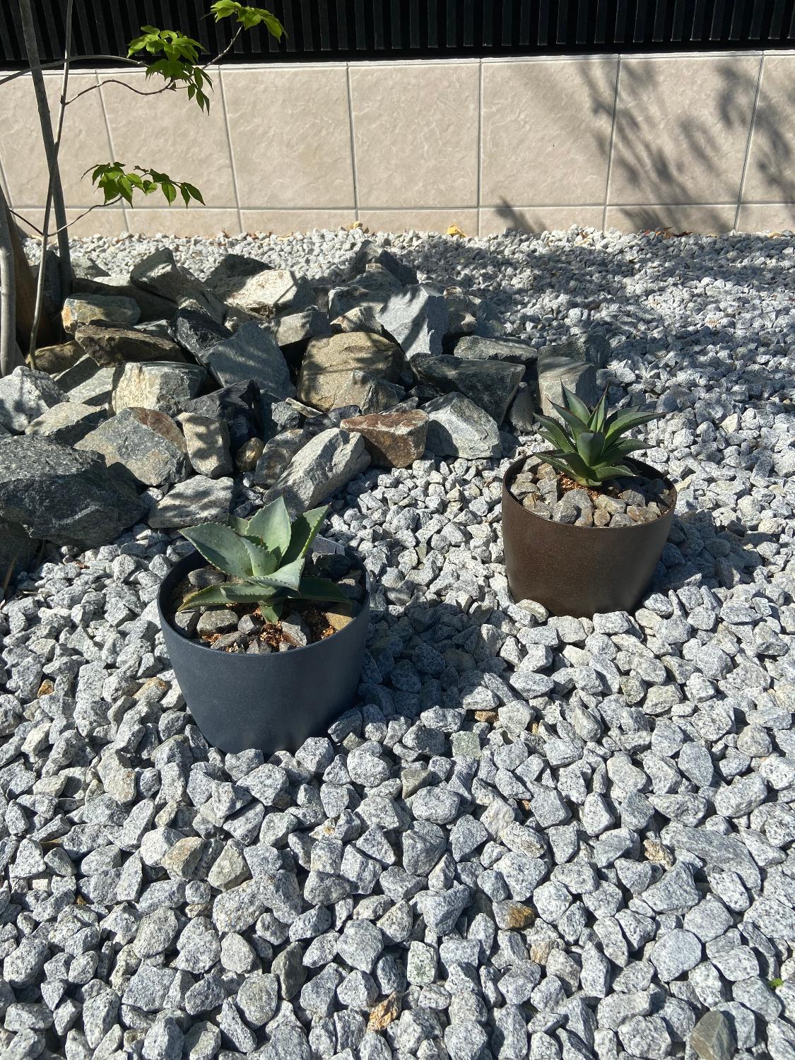 楽天市場】Kaiju Plant 怪獣ポットEco4.5 スリット鉢 4.5号 麦わら再生
