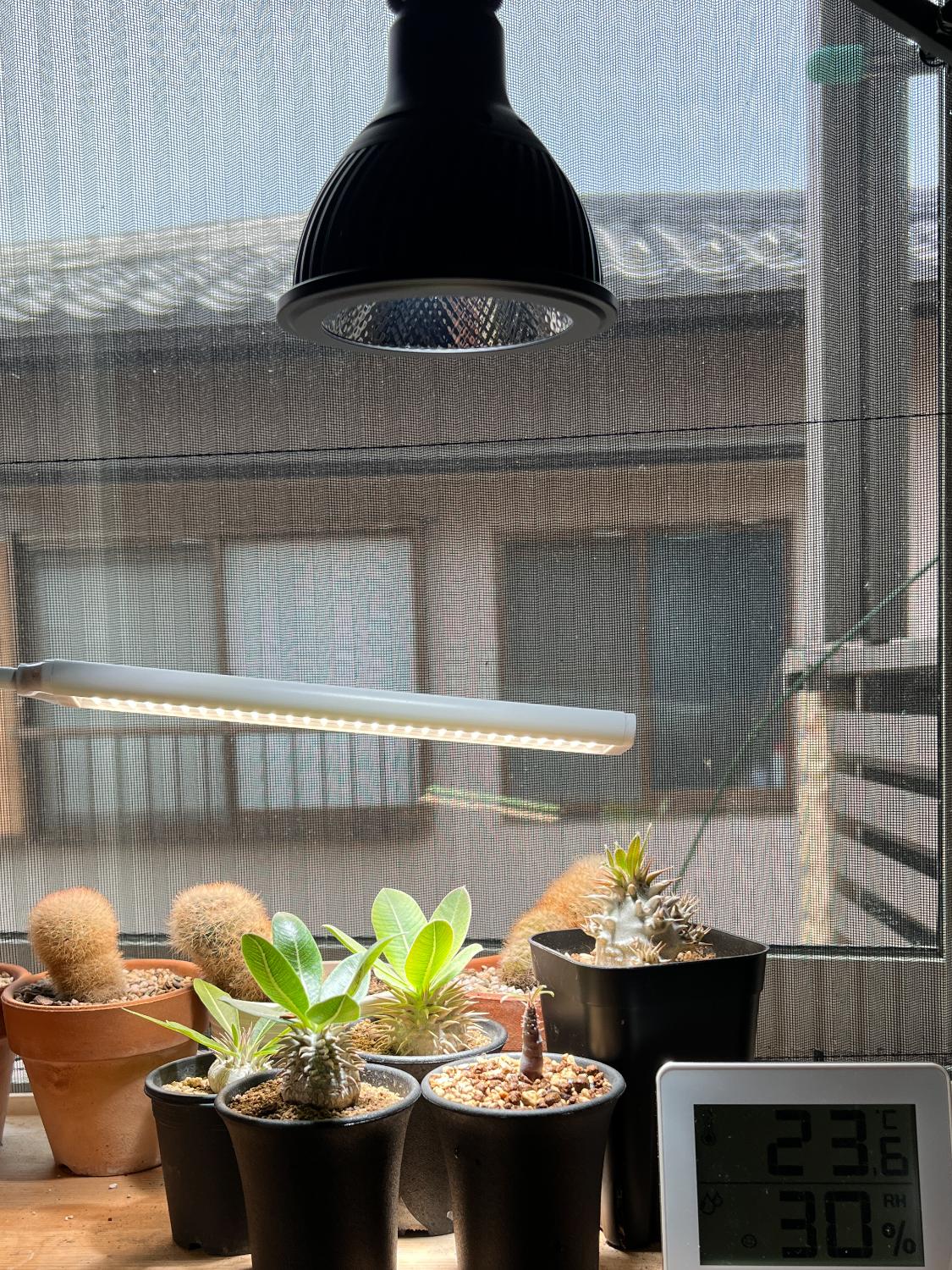 楽天市場】HaruDesign 植物育成ライト HASU38 spec9 6K ブラック