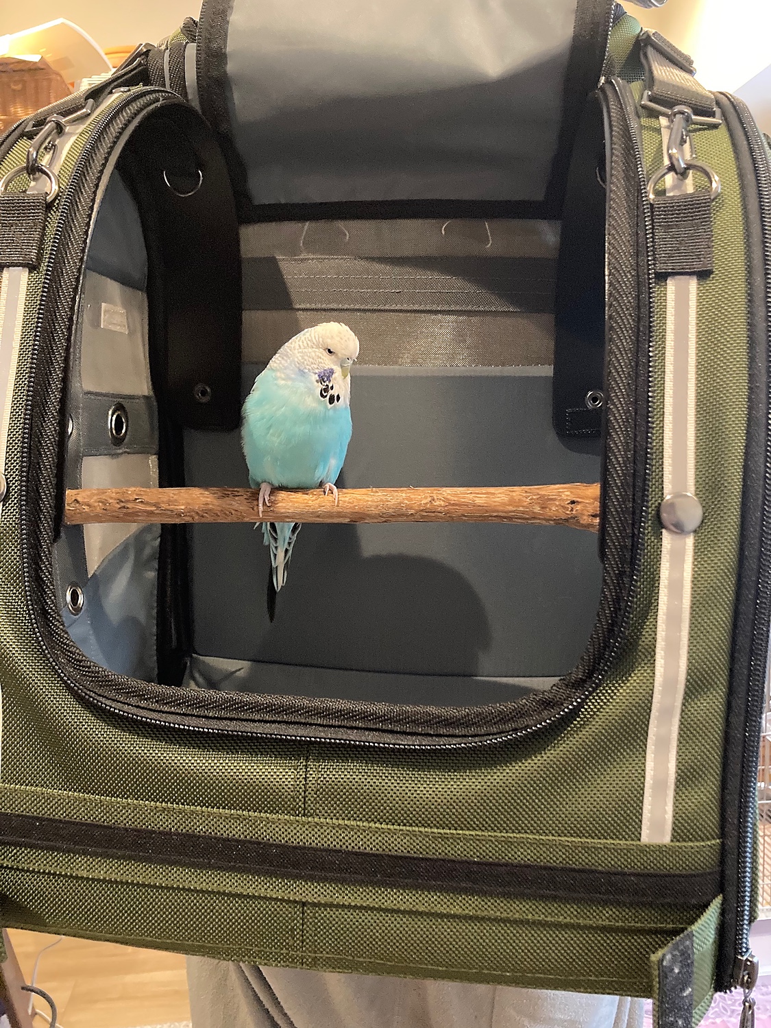 スタニングルアー Celltei Pak-O-Bird 鳥用キャリーバッグ Sサイズ 