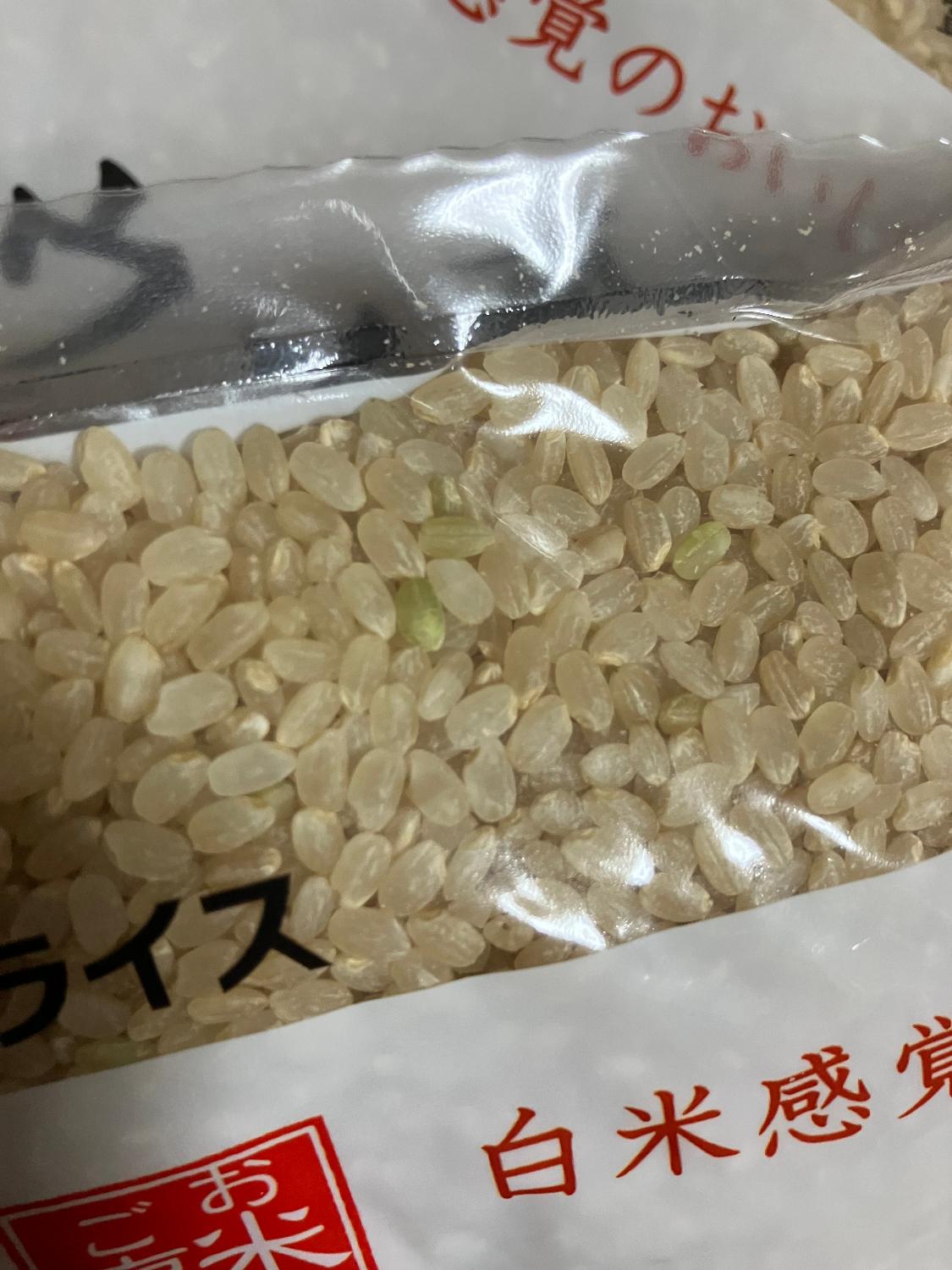 楽天市場】【TVCMで話題！】金芽ロウカット玄米 4kg(2kg ×2袋) 令和7