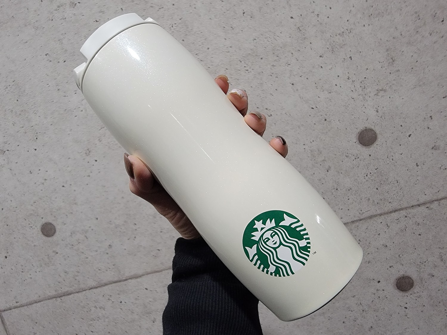 楽天市場】Starbucks スターバックスSS ステンレス コンコルド