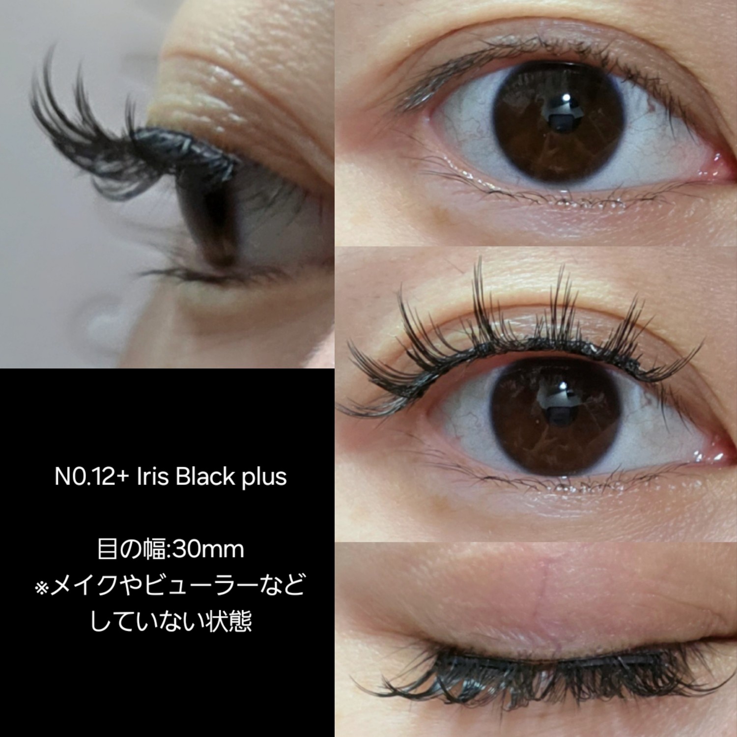 楽天市場】＼限定800円OFF！／【WOSADO公式ストア】一体型
