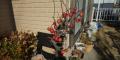 「【 実付き 】 姫りんご 長寿紅 18cm鉢植え」の商品レビュー詳細を見る