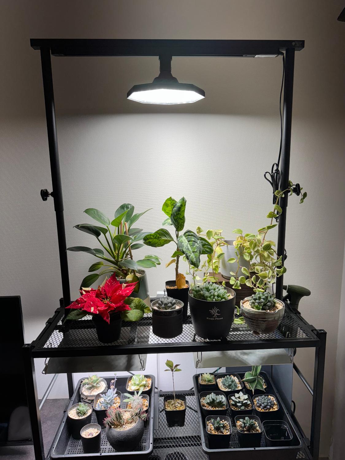 楽天市場】ライトレールスタンド 複数 卓上スタンド 育成ライト 植物