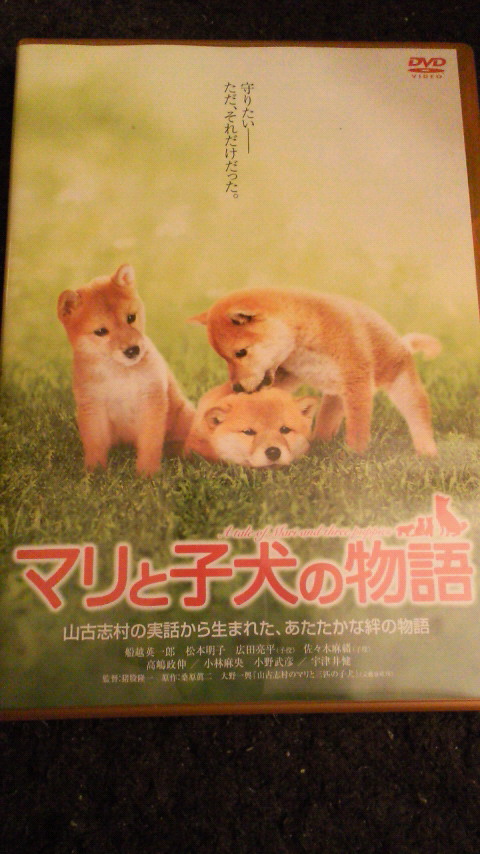 楽天市場】マリと子犬の物語 スタンダード・エディション [ 船越