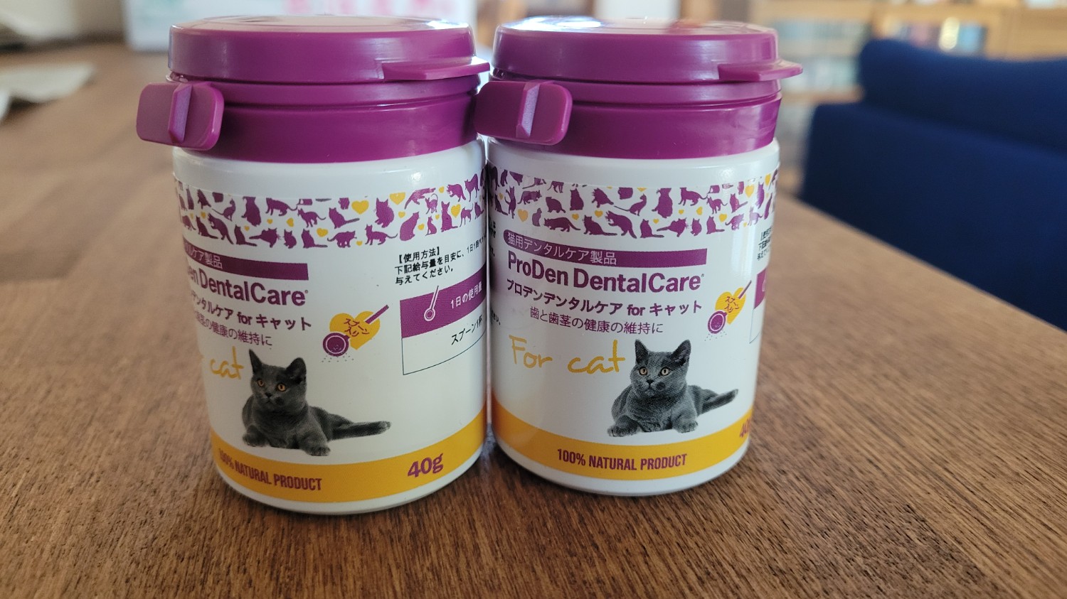 Amazon.co.jp: プロデン デンタルケア forキャット 40g (猫用