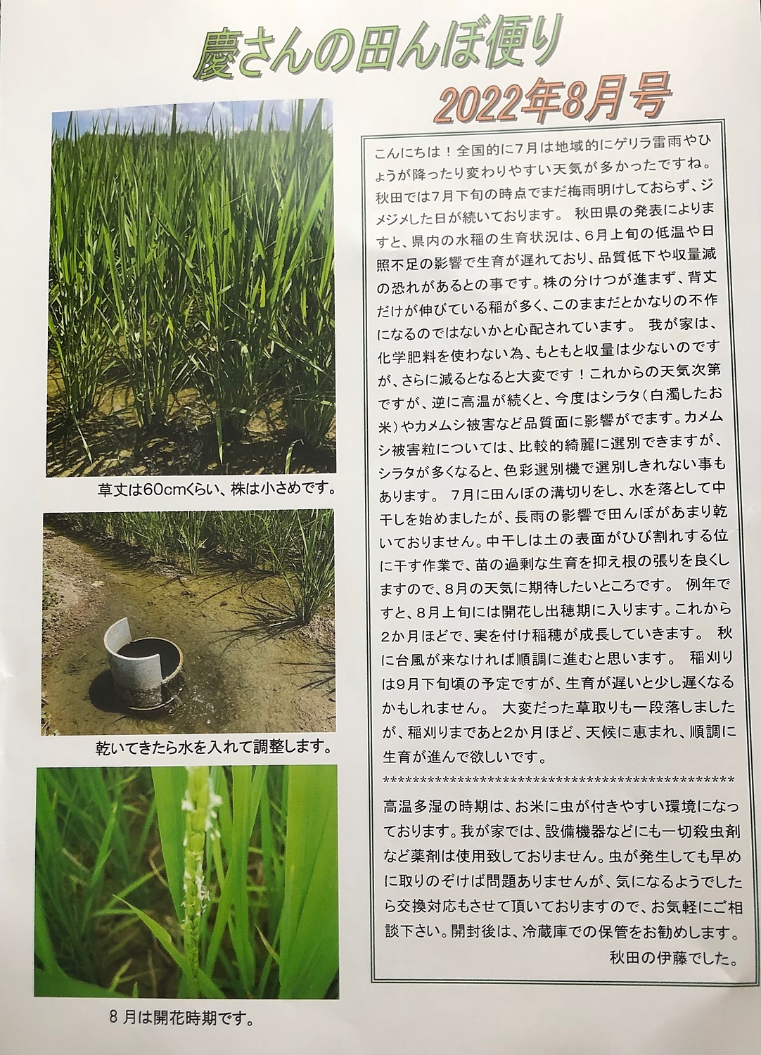 楽天市場】【有機栽培米】令和6年産あきたこまち 玄米 5kg（2.5