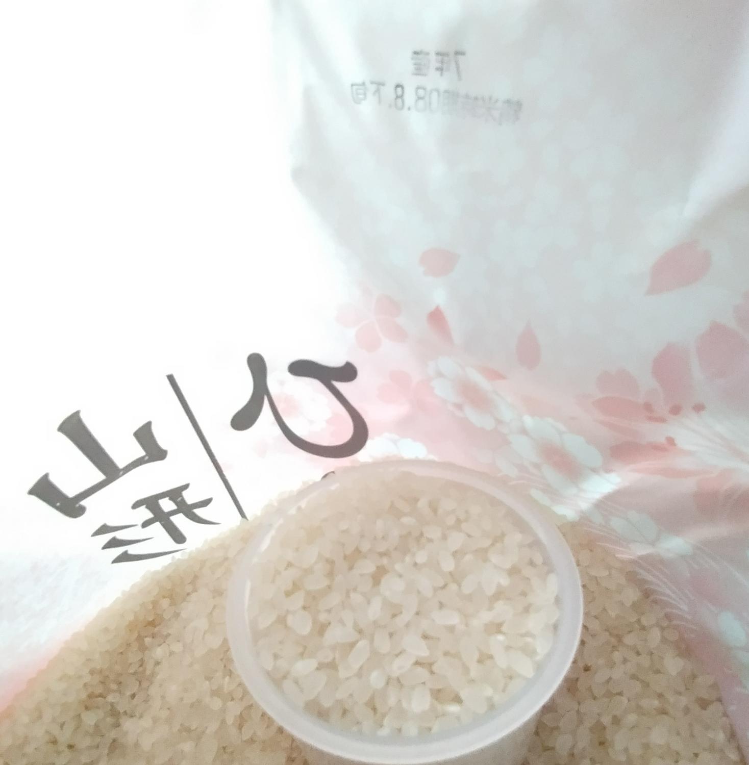 楽天市場】【送料無料】令和7年産 山形県産 ひとめぼれ 白米10kg【四国