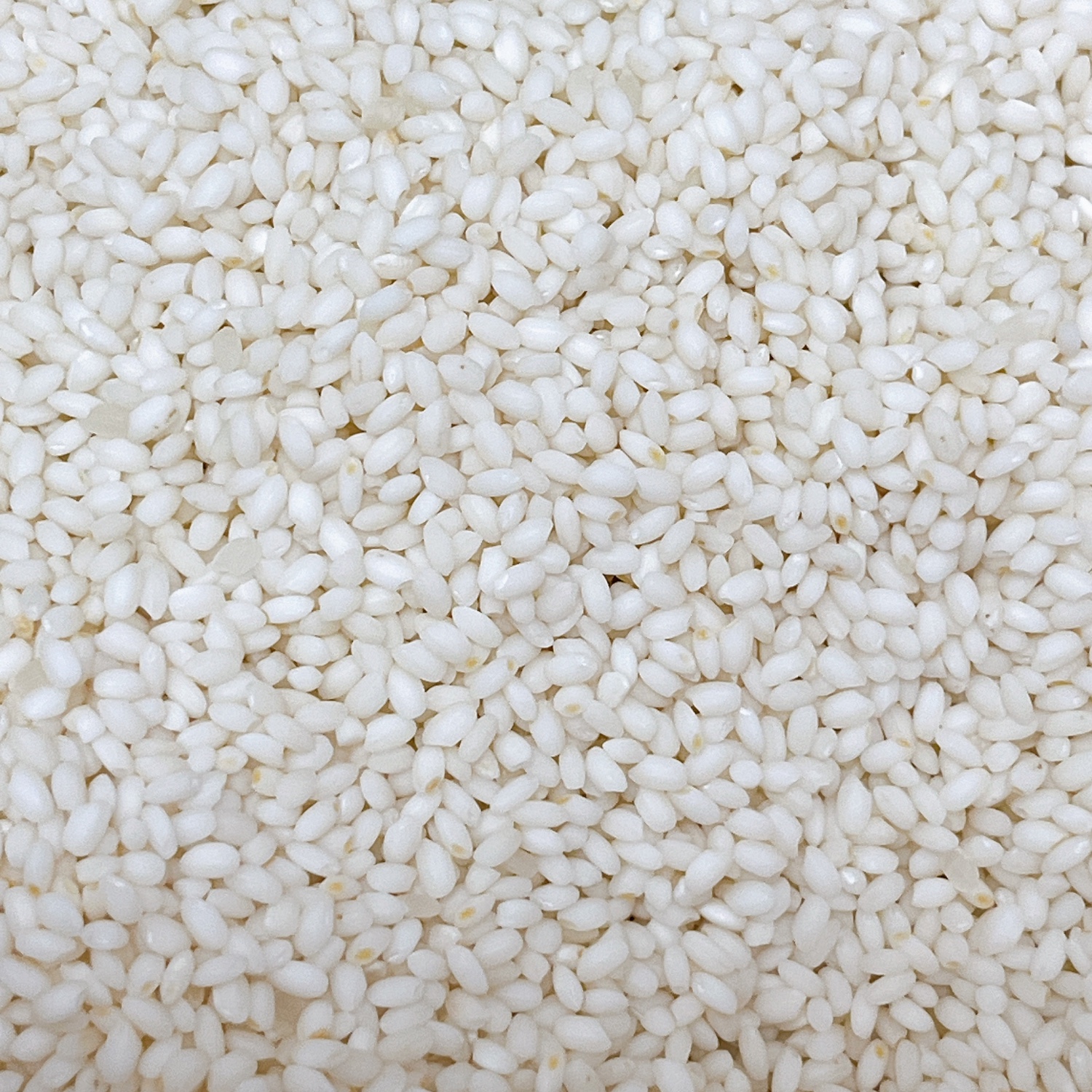 令和6年度産 ゆきむすび 30kg 宮城県産 ゆきむすび 10kg(5kg×2袋) 宮城県大崎市鳴子産 令和6年産 受注