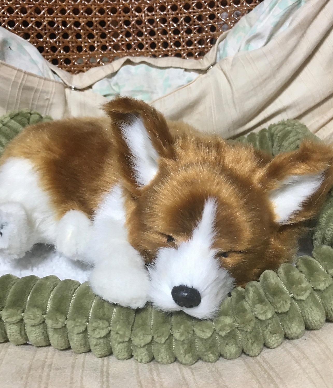 楽天市場】眠るように呼吸する パーフェクトペット (小サイズ
