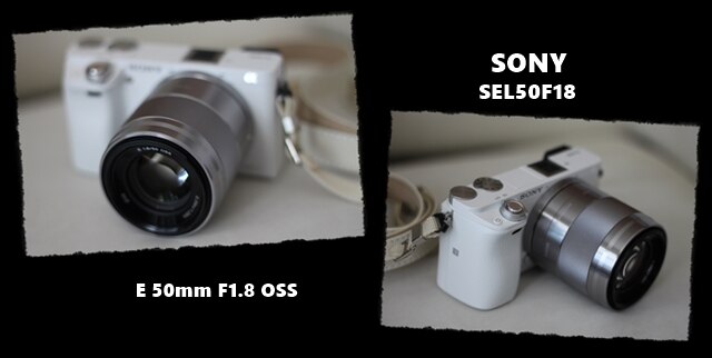 楽天市場】ソニー E 50mm F1.8 OSS [SEL50F18S] シルバー ソニーE