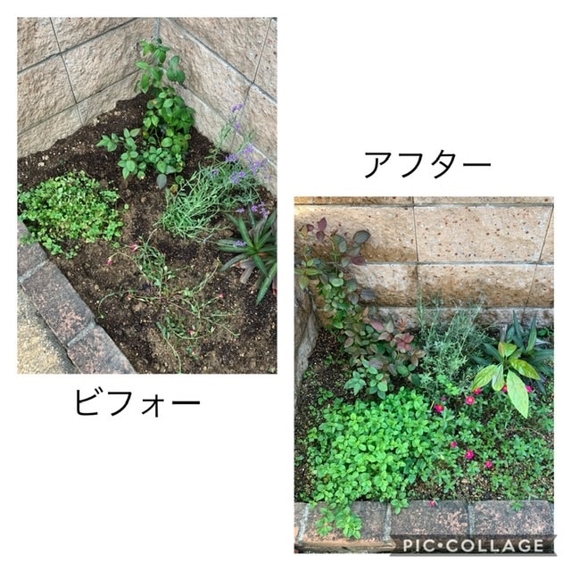 楽天市場 園芸専門店が作った 土 吉本花城園の ぐんぐん育つ培養土 花 バラ 野菜 観葉植物 の土2袋合計 40リットル 他商品と同梱不可 Fleur Town 吉本花城園 みんなのレビュー 口コミ