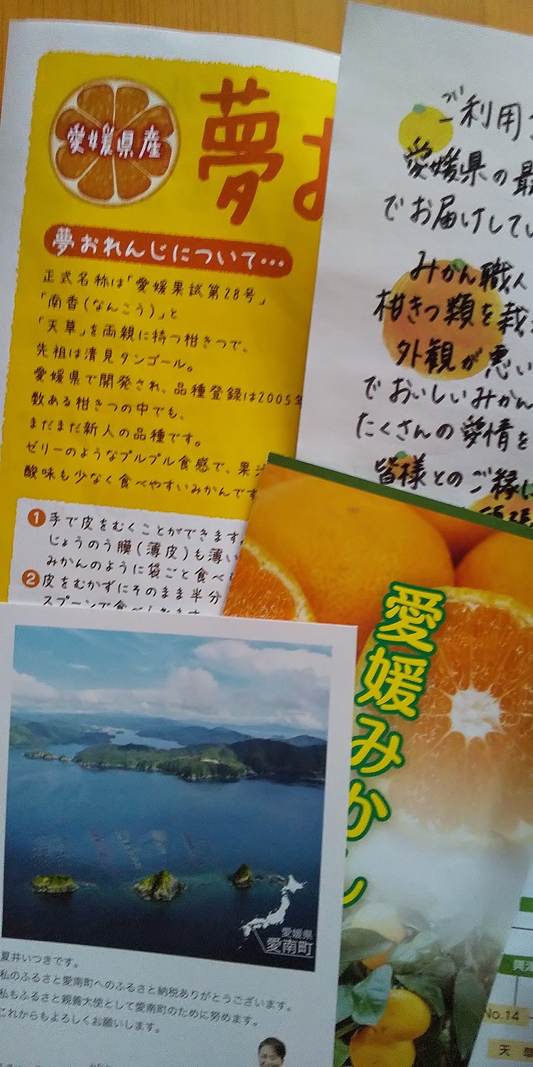 楽天市場】【ふるさと納税】 訳あり 夢オレンジ 2kg まどんな 愛果 28号 不揃い 愛媛 みかん 職人武田屋 果物 フルーツ 柑橘 国産 蜜柑  大小 ミックスサイズ 愛媛県産(愛媛県愛南町) | みんなのレビュー・口コミ