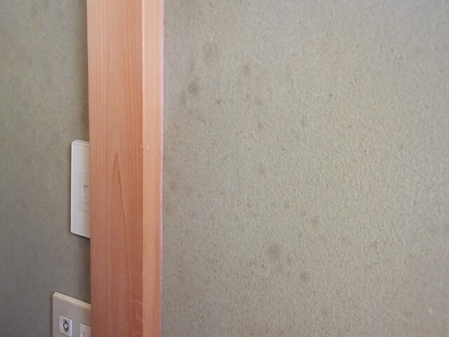 楽天市場 購入者さんの 商品代金全額返金保証 送料無料 壁紙 ビニールクロス ユニットバス 土壁などの漂白されない材質用のカビ取り 剤 感動のレビュー1 900件超え カビ取りの決定版 ビニールクロス ユニットバス 土壁 珪藻土 トイレの壁紙のプロも取れない