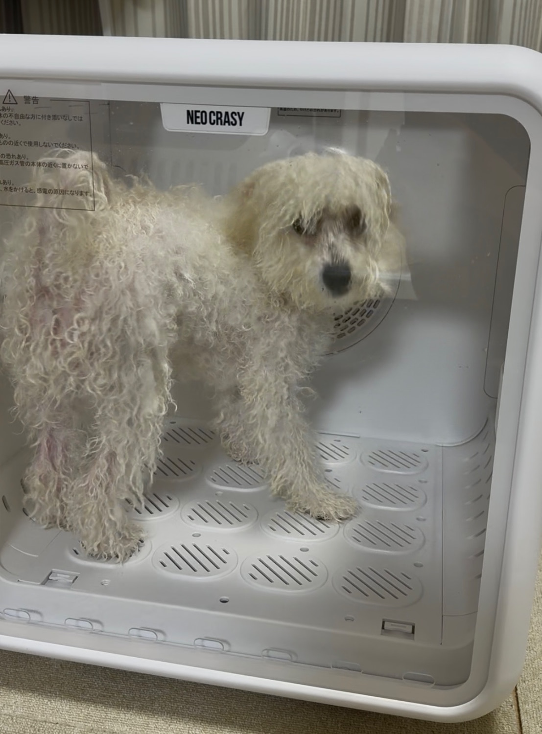 美品　元箱付きNEO CRASY ペット用ドライヤー 72L 楽天市場】☆ペット用品プレゼント☆シルモ Silumo【見守り天窓