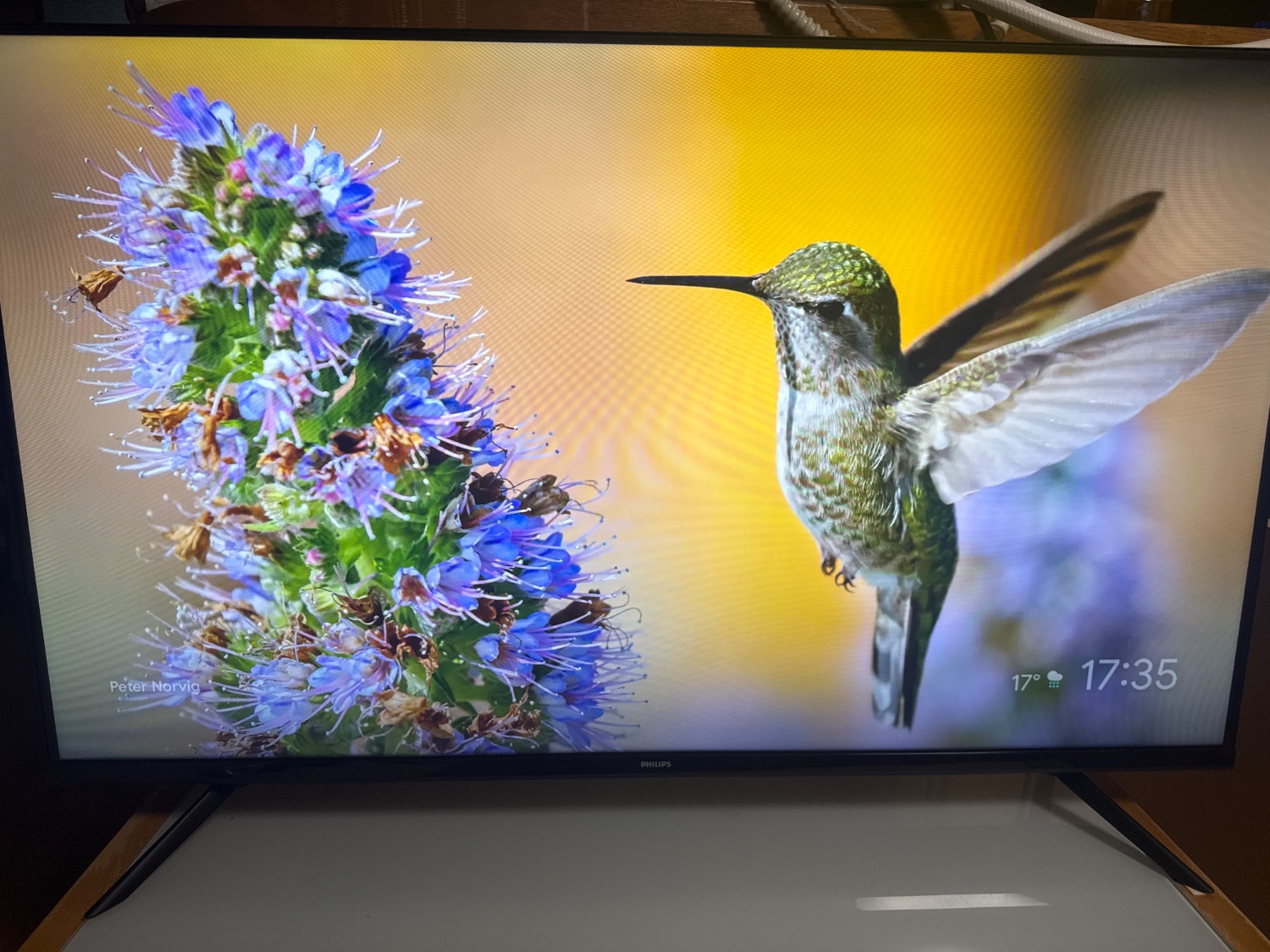 楽天市場】Philips テレビ 43型 チューナーレステレビ 液晶