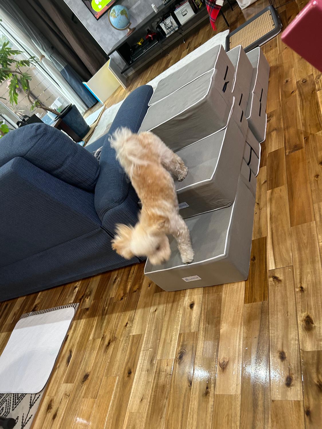 ドッグステップ 犬用ステップ ペットステップ レビュー画像4