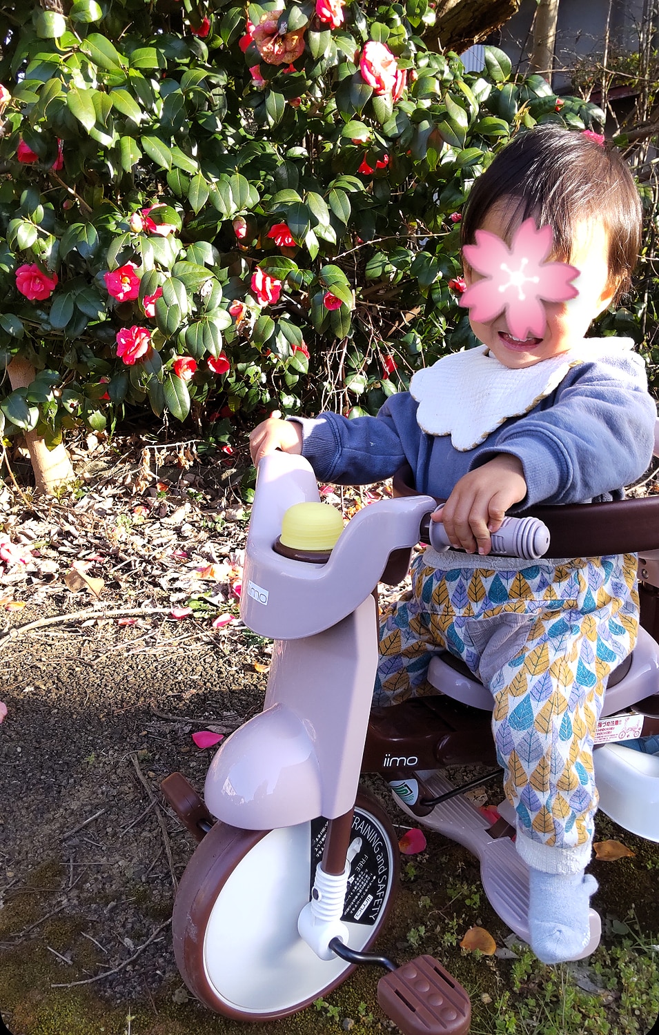 選べる特典付 Iimo エターニティーレッド 三輪車 Tricycle 02 イーモトライシクルナンバー02