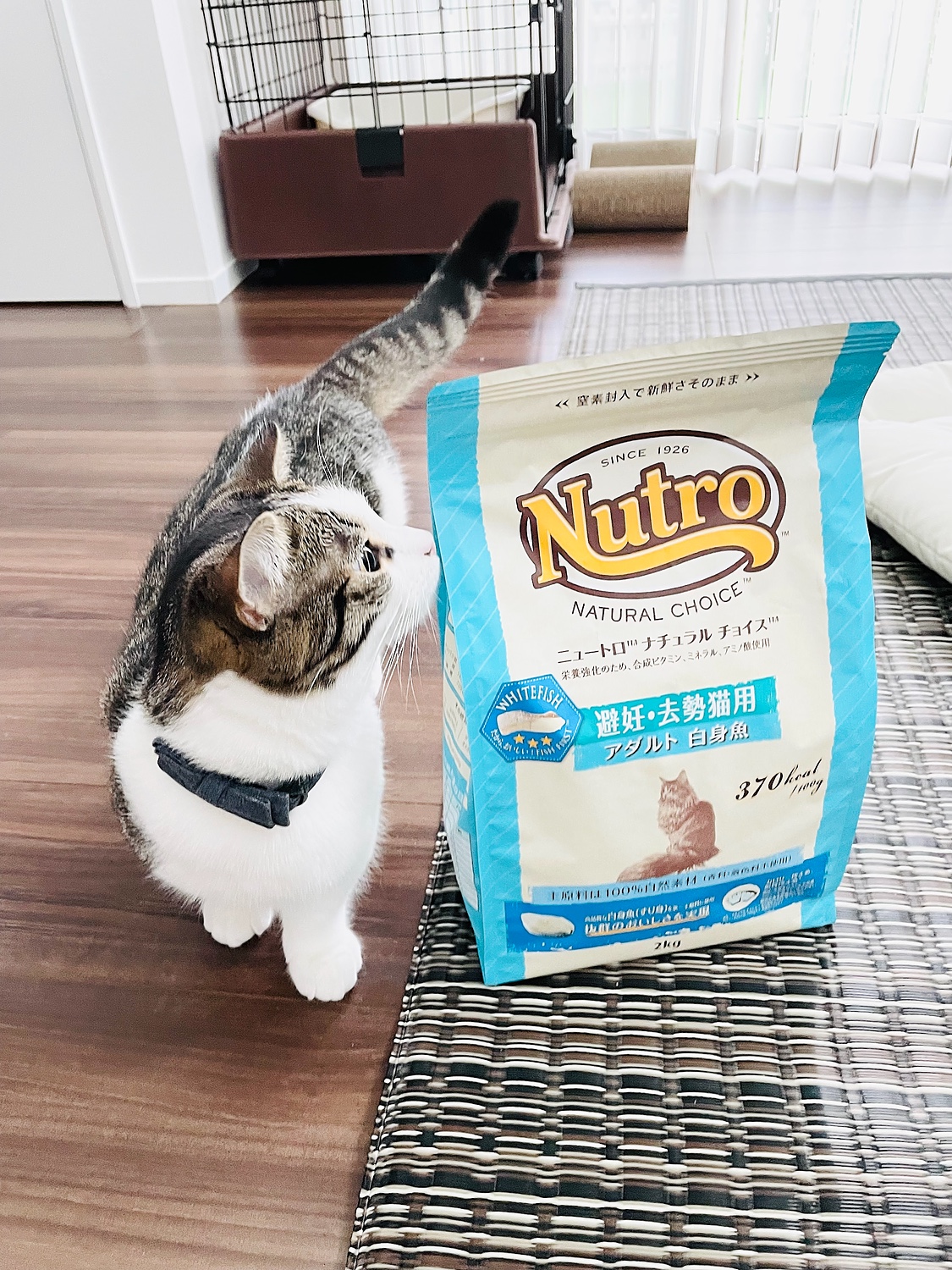 お徳用 Nutro ニュートロ ナチュラルチョイス 避妊/去勢猫用 - ペット