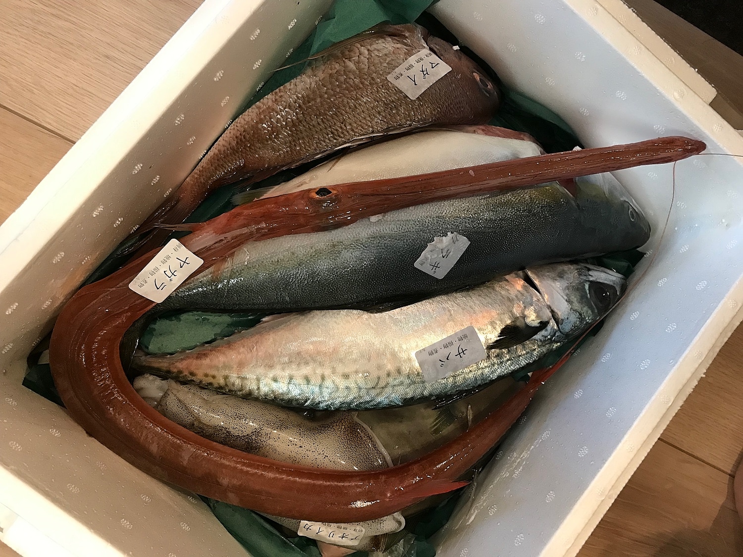 楽天市場 天然のいけす 富山湾氷見漁港 旬の鮮魚セット 4000円 氷見の鮮魚 角安商店 みんなのレビュー 口コミ