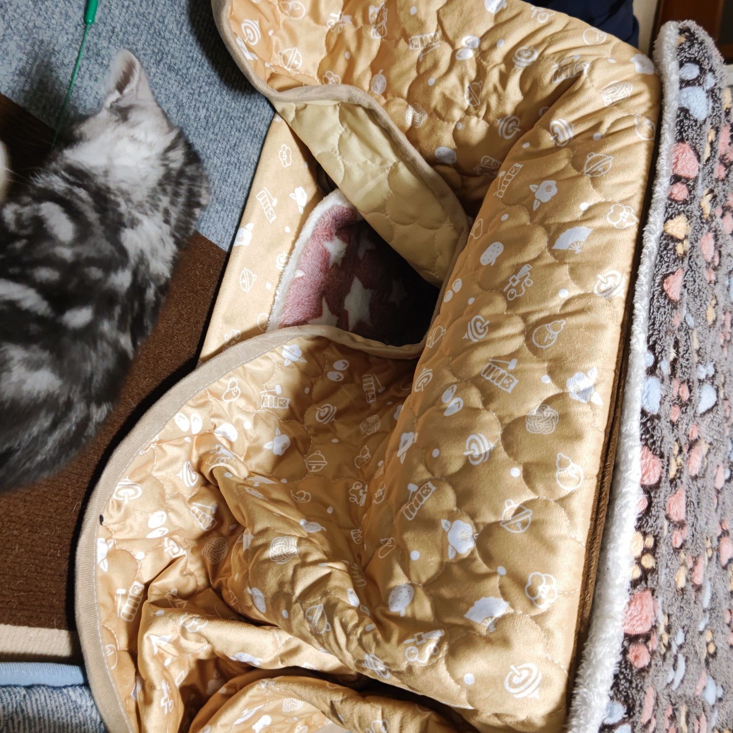 楽天市場】【即納在庫品】 猫用こたつ 猫 ハウス 省エネ 遠赤外線