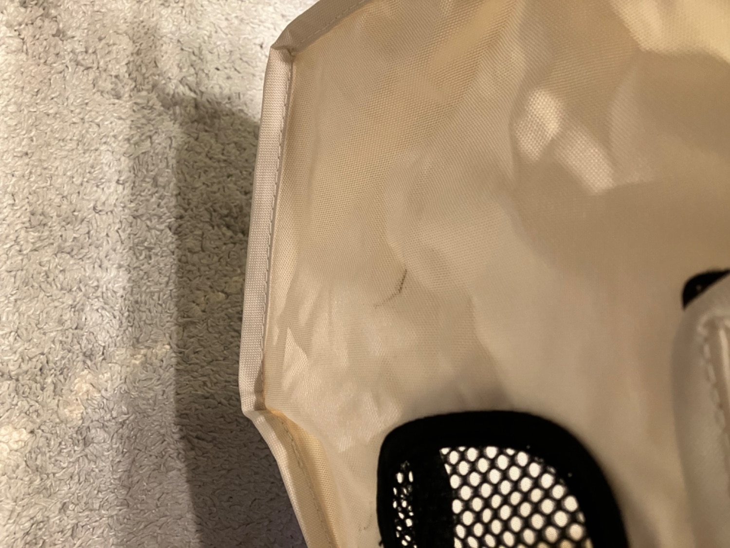 購入者レビュー写真