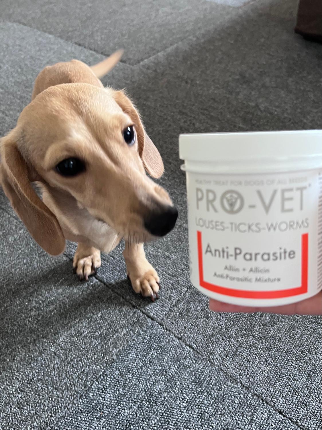 楽天市場】PRO-VET プロベット アンチパラサイト Anti-Parasites 犬用