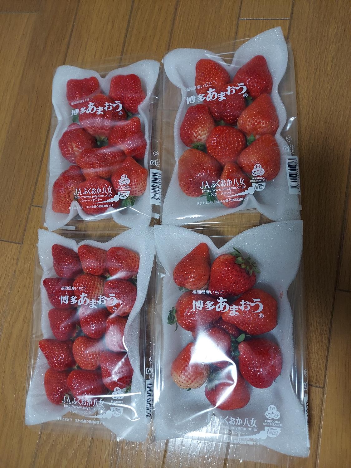 購入者レビュー写真
