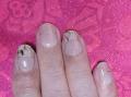 ֡ڸN Cream ShellND-053-J/ ohora gelnails nail ۡ ͥ ͥ ͥ륷 եͥ ͥ륹ƥå ͥ ͥǥ ͥ륷 ͥ륹ƥå ͥ륪 ͥѡ ͥå 顼פξʥӥ塼ܺ٤򸫤