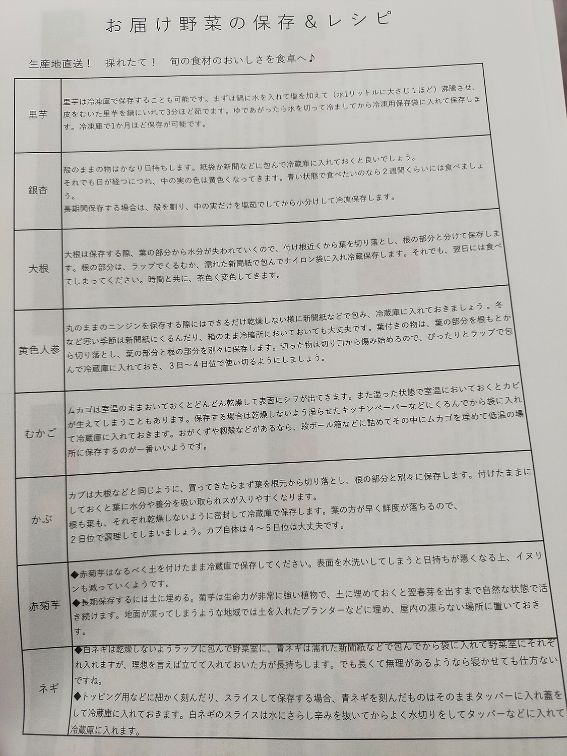 楽天市場】【ふるさと納税】旬のお野菜おまかせ8種セット・ミニサイズ（1～2人） ※ 定期便 【全6回お届け】 お任せ 季節の野菜セット 新鮮 無農薬  詰め合わせ 詰め合わせセット サラダ 詰合わせ 一人暮らし ひとり暮らし 1人用 1人分 2人用 2人分 京丹後 京都 日時指定 ...